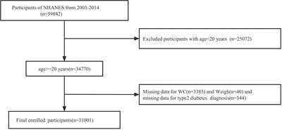 Association between the weight-adjusted waist index and the odds of type 2 diabetes mellitus in United States adults: a cross-sectional study